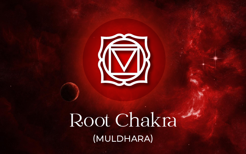 What is Root Chakra (Muladhara)?